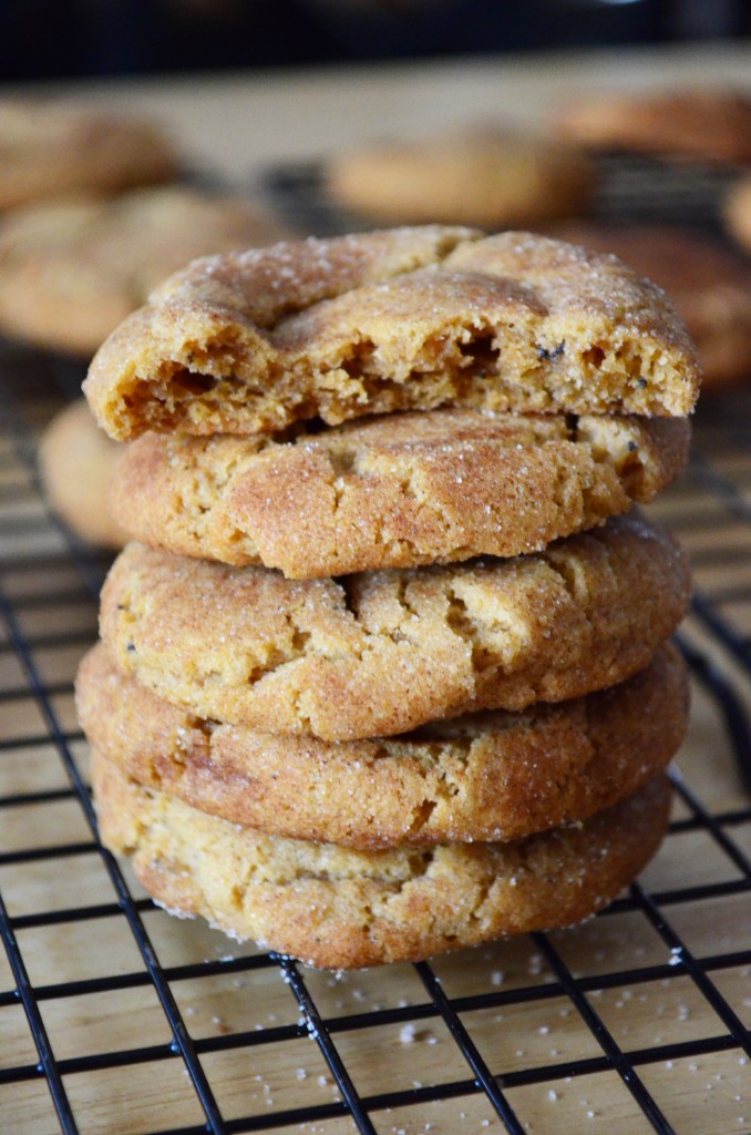 brownbuttersnickerdoodle2